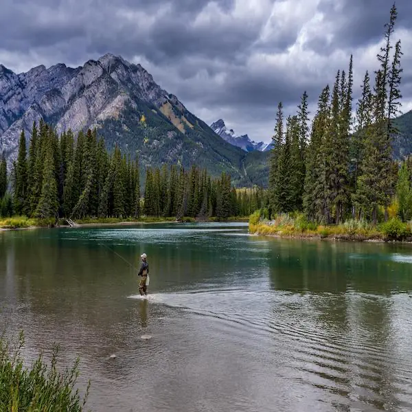 fly fishing